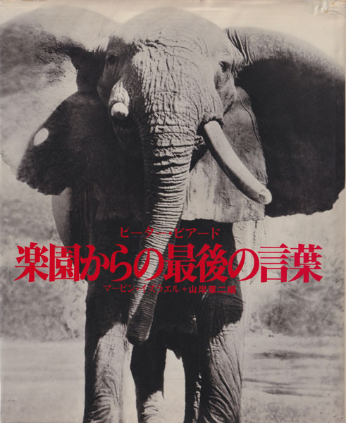 EYELIDS OF MORNING 朝の瞼 ピーター・ビアード ピーター・ビアード写真集 PETER BEARD: Fifty Years of