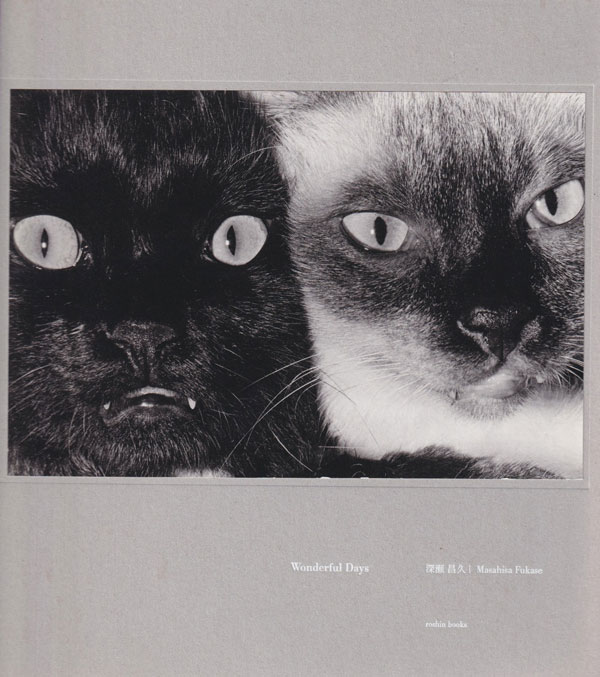 古書古本 Totodo：深瀬昌久 / Masahisa Fukase: Wonderful Days [First