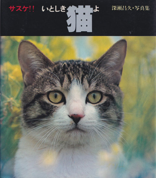 古書古本 Totodo：深瀬昌久 サスケ！！ いとしき猫よ / Masahisa