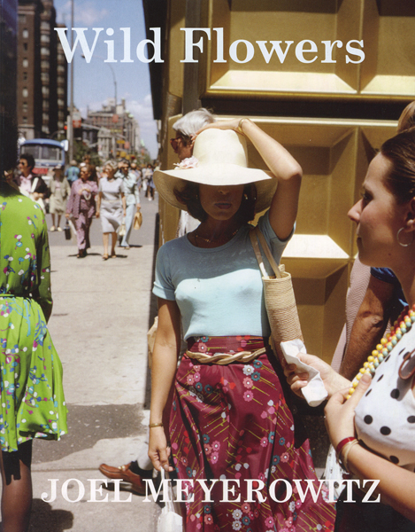 古書古本 Totodo: Joel Meyerowitz: Wild Flowers（ジョエル・マイヤー
