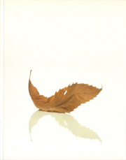 Peter Saville: Estate 1-127