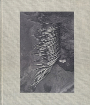 VIVIANE SASSEN: PIKIN SLEE [Signed]