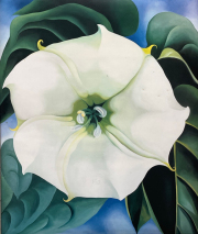 オキーフ画集　花