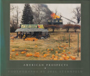 「 AMERICAN PROSPECT 」ジョエル・スターンフェルド 古書古本Totodo：Joel Sternfeld: Stranger Passing [First Edition
