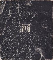 森永純写真集　河―累影 / Jun Morinaga: River, Its Shadow of Shadows [First Edition]