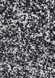 Kerstin Bratsch: Unstable Talismanic Rendering Plates