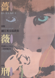 古書古本 Totodo: 細江英公 抱擁 ソノラマ写真選書 4 / Eikoh Hosoe