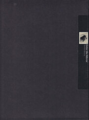 中藤毅彦 / Takehiko Nakafuji: Enter the Mirror