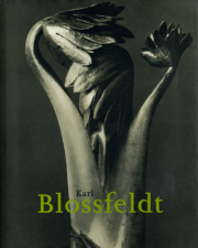 Karl Blossfeldt 1865-1932