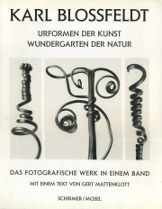 Karl Blossfeldt: Urformen der Kunst Wundergarten der Natur