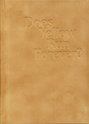Paul Graham: Does Yellow Run Forever?