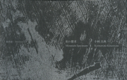 小林且典　山の標本 / Katsunori Kobayashi: Mountain Speciments