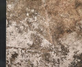 Yusuke Yamatani: ground [Signed]