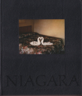 Alec Soth: Niagara