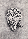 COMME des GARCONS: Six　各号