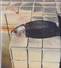 TOKYO FISHGRAPHS I 2020 by Naohiro Harada 2Books Set [Signed]