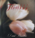 David Hamilton: Flowers