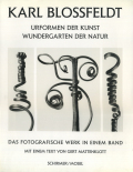 Karl Blossfeldt: Urformen der Kunst Wundergarten der Natur