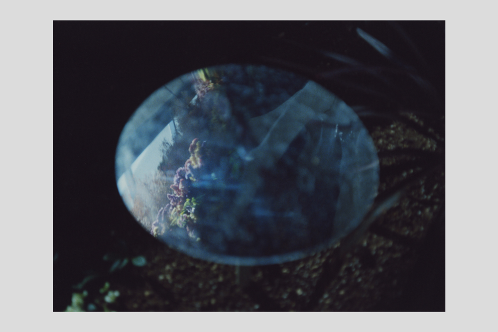 幸本紗奈 写真展「for closed eyes」