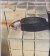 TOKYO FISHGRAPHS I 2020 by Naohiro Harada 2Books Set [Signed]