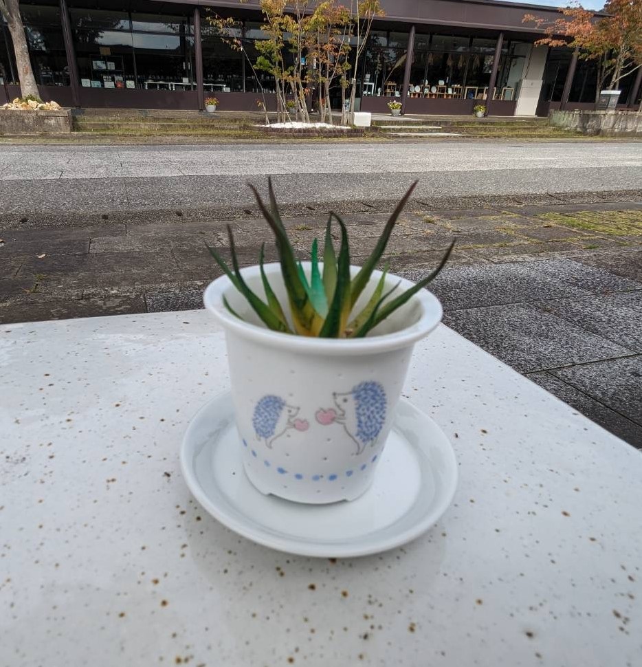 植木鉢（ハリネズミ赤りんご）
