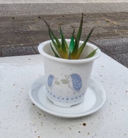 植木鉢（ハリネズミ青りんご）