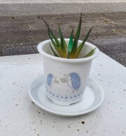 植木鉢（ハリネズミ青りんご）