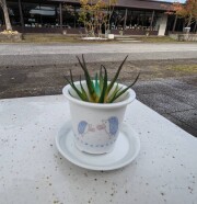 植木鉢（ハリネズミ赤りんご）