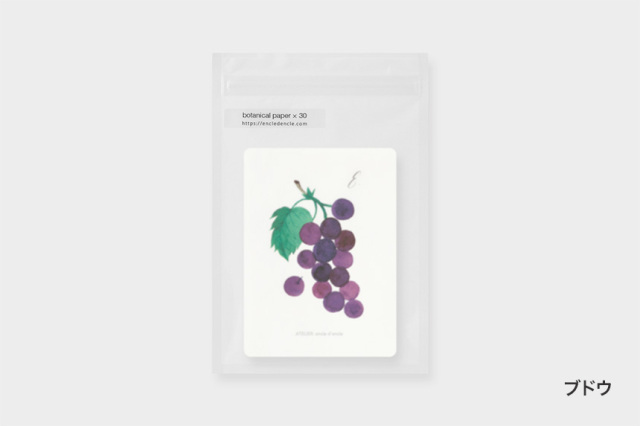 ATELIER. encle d' encle　ボタニカルペーパー【10点までネコポス配送可】