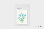 ATELIER. encle d' encle　ボタニカルペーパー【10点までネコポス配送可】/ワスレナグサ