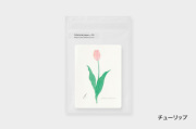 ATELIER. encle d' encle　ボタニカルペーパー【10点までネコポス配送可】/チューリップ