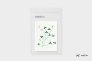 ATELIER. encle d' encle　ボタニカルペーパー【10点までネコポス配送可】/クローバー