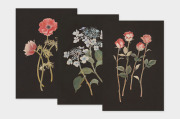 〔アート タッチ〕ポストカード sasaki megumi 花柄  【20点までネコポス配送可】