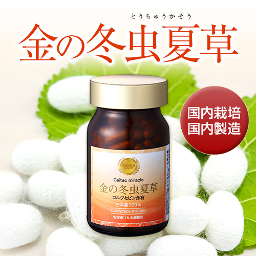 【初回お試し価格（お一人様３本まで）】金の冬虫夏草（120粒）