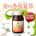 【初回お試し価格（お一人様３本まで）】金の冬虫夏草（120粒）