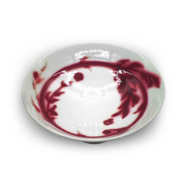 紅彩 盛鉢 河口純一作