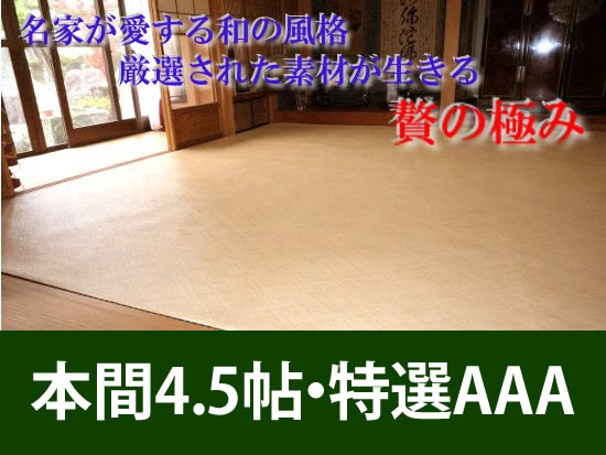 本間4.5帖　あじろ帖物・カーペット