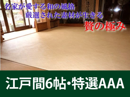 江戸間6帖　あじろ帖物・カーペット