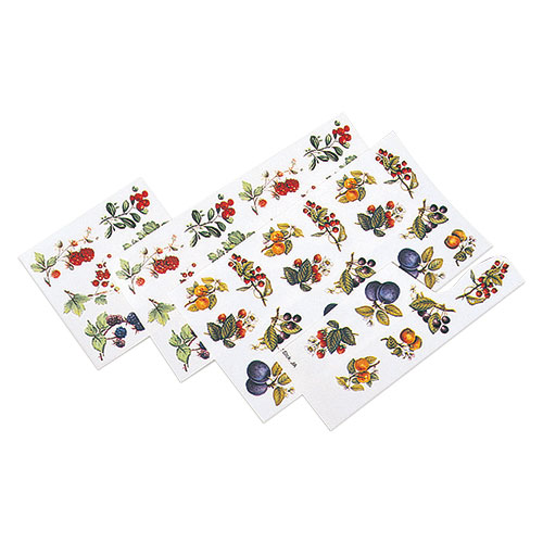 デザイン転写紙セット（上絵用）　果実