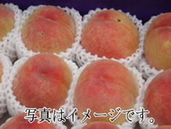 確約　ご家庭用　あらかわの桃　小箱　発送時期6月下旬～8月上旬　到着日は選べません。