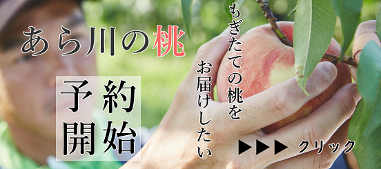 桃の予約開始
