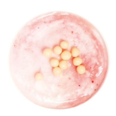 キルシュ香るホワイトチョコとバニラ苺