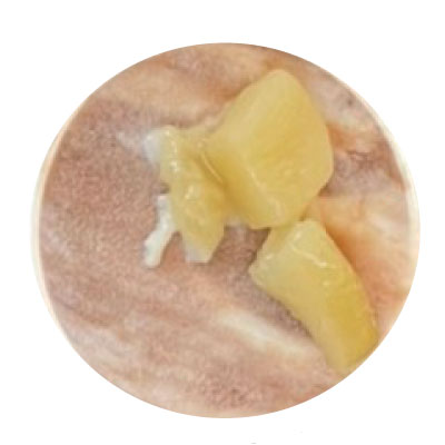 桃マルカルポーネショコラ