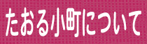 タオル小町案内