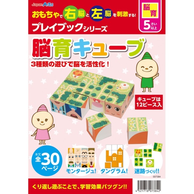【脳育】 脳育キューブ 【子どもの右脳と左脳を刺激する知育教材！】