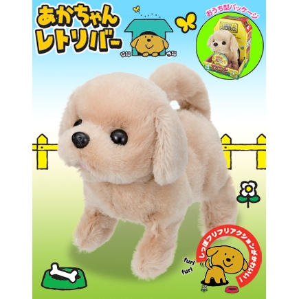 【電動どうぶつ】 あかちゃん レトリバー 【トコトコあるいてシッポフリフリ！】