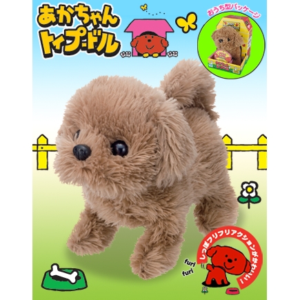 【電動どうぶつ】 あかちゃん トイプードル 【トコトコあるいてシッポフリフリ！】