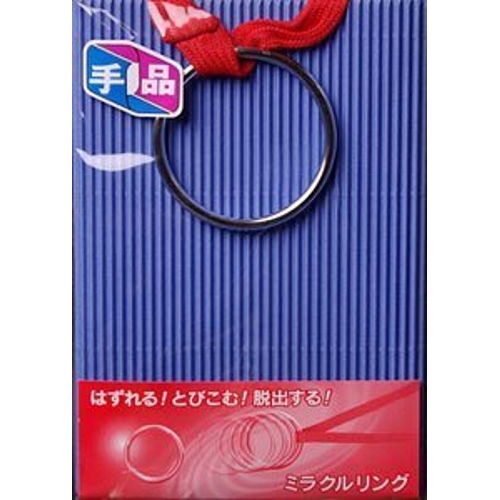 貫通マジック 入門 手品 マジック ミラクルリング 初心者向け 通販 販売