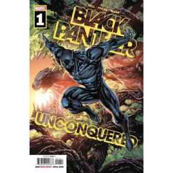 アメリカンコミックス マーベルコミックス ブラックパンサー