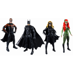 バットマン & ロビン Mr.フリーズの逆襲 マクファーレントイズ DC 